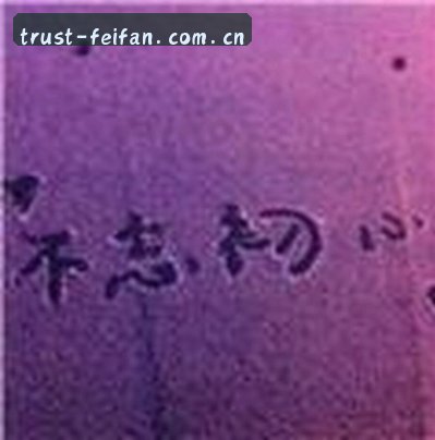 User